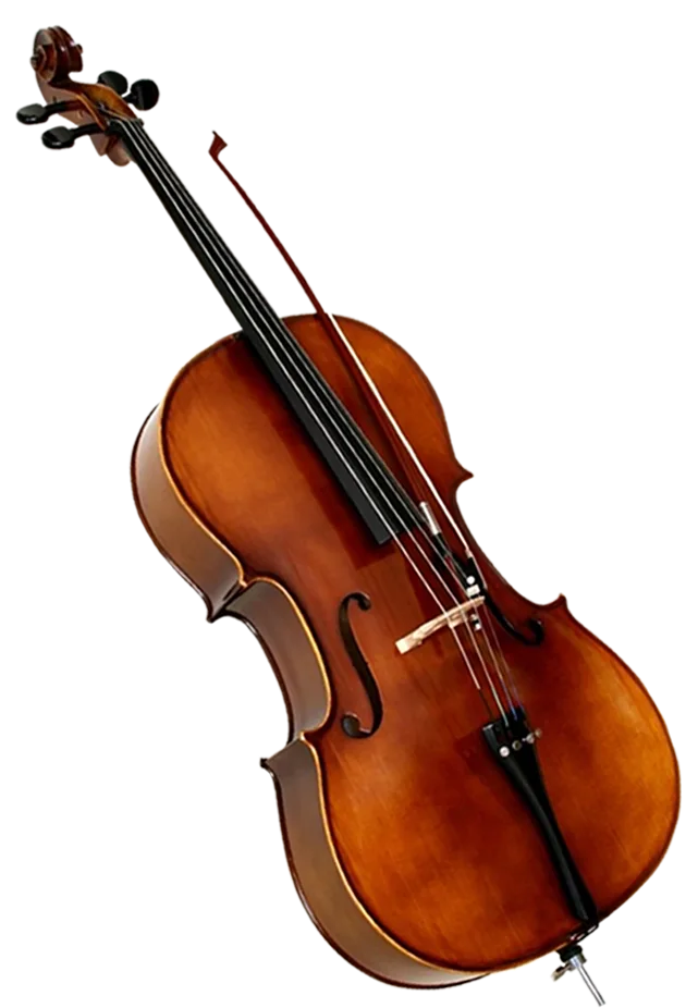 Violin